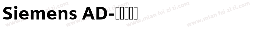 Siemens AD字体转换